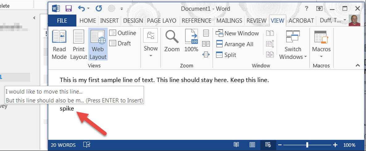 Microsoft Word