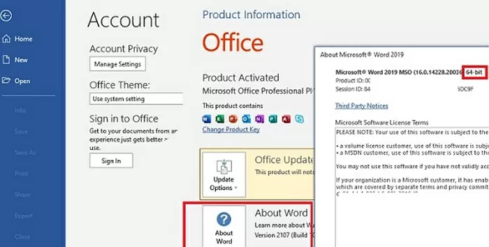 Microsoft Office Activation