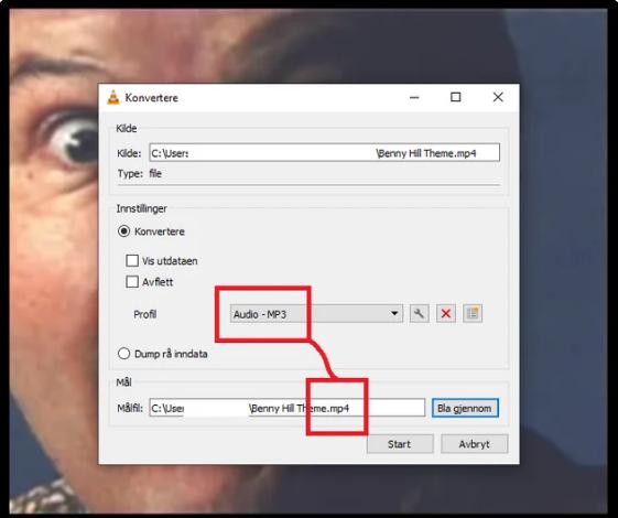 Convert MP4 Files into MP3 (Top Converters of 2025) 8 MP4 Files into MP33